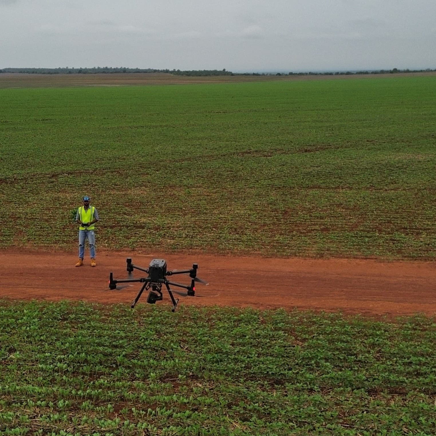 a pilot flying a drone over some crops